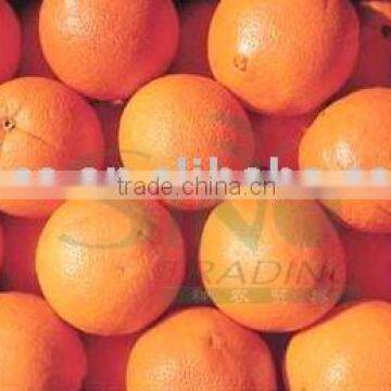 fresh navel orange