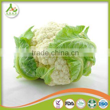 2017 New Crop Fresh Cauliflower photo-6