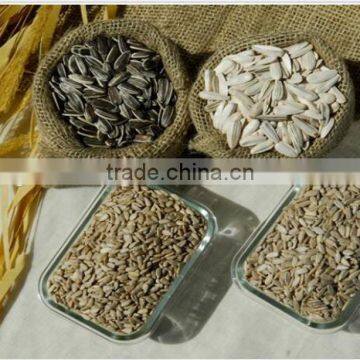 High Quality Sunflower kernels NEW CROP