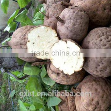 Saleable Thailand Pueraria Mirifica Essential Oil Big Breast Massage Oil photo-3