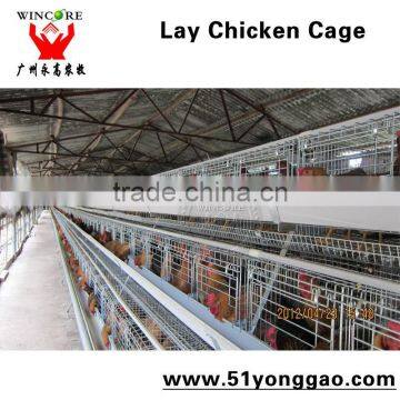 High Quality Automatic Poultry Layer Cages/Design Layer Chicken Cages/Poultry Battery Cages