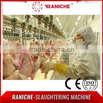 Halal Poultry Chicken Processing Equipment photo-5