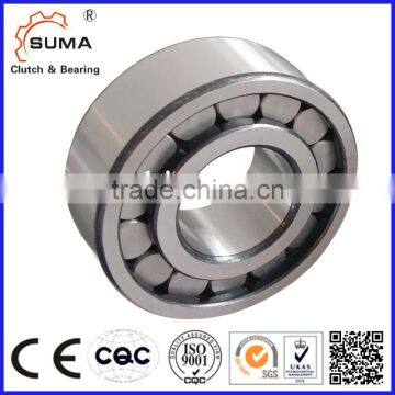 Single Row Full Complement Cylindrical Roller Bearing (SL18 SL19) photo-3