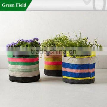 Green Field Colorful Canvas Flower Planter,Modern Colorful Flower Planter
