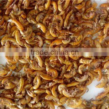 Good Quality Sun Dried Gammarus ;Pet Food Dried Gammarus photo-3