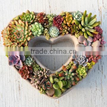 Creative decorative large heart shape cement flower planters