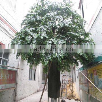 SJ20171526 Hot Sale Artificial Japanese Money Tree and Plant for uv Anti