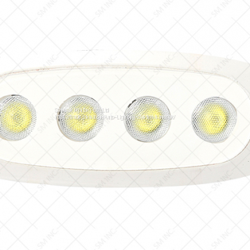 6 Inch 12W Epistar LED Work Light