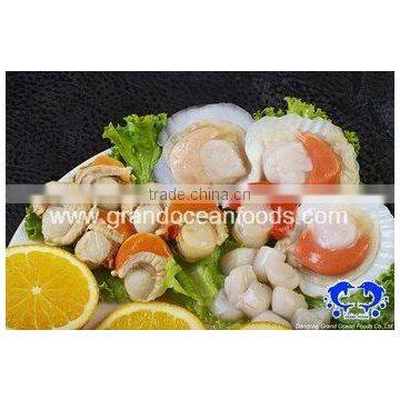 frozen scallop meat with roe and frill,IQF