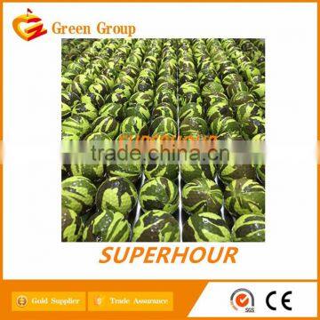 Golf Camouflage Ball photo-3