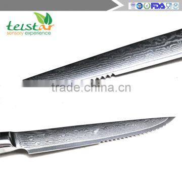 4.5 Inch Steak Knife Japanese VG-10 67 Layers Damascus Premium Steak Knife (4 Sets) photo-5