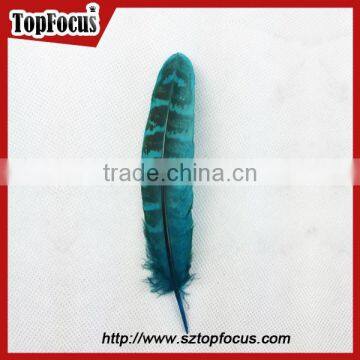 Natural Ringneck Rounds Cheap Dyed Pheasant Feathers Sale photo-4