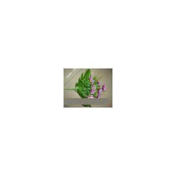Agent For Flower, Bonsai And Decorative Plant