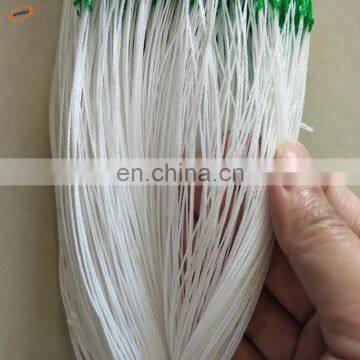 100% virgin material Plastic trellis net/plant climbing support netting/cucumber vine Pea & Bean netting