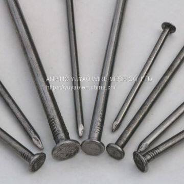 Q195 Common Iron Nails Building Wire Nails for Wood for Construction