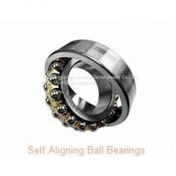 NSK 6000zz Bearing