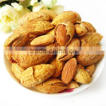 Organic Bitter Almonds/Almond nut/Almonds kernel