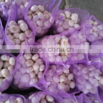 Fresh Chinese Garlic Wholesale Price