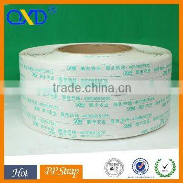 plastic packing strap for carton