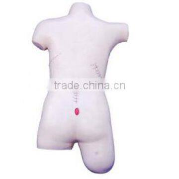 Surgical Suture and Bandaging Model photo-2