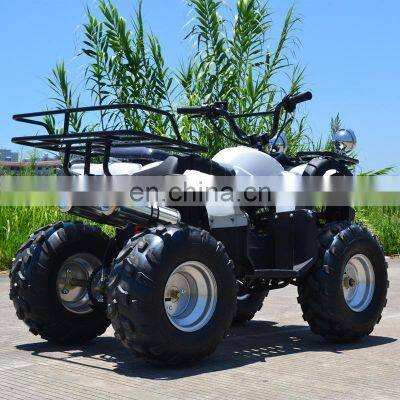 Various Types of Adult 4-wheel 4-stroke All-terrain Vehicles 110/125/200/250cc photo-4