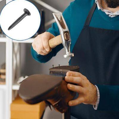 Günstige Schuhnagel mit 20 mm Länge und korrosionsschützender Beschichtung