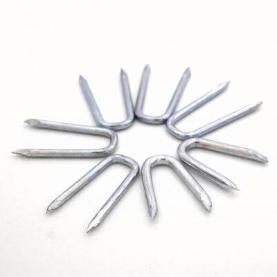 POWER U Type Nails Q195 Steel | China Factory Direct | Stable Quality & On-Time Delivery photo-4