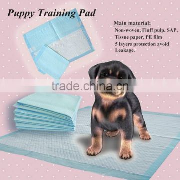 Pet training pad