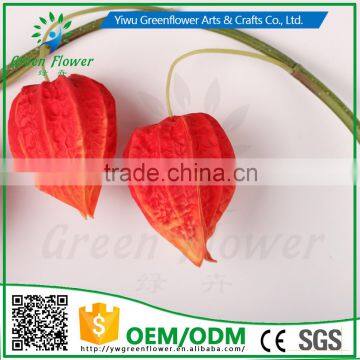 Greenflower 2016 Wholesale Real Touch Latex PU Lantern Fruit China Artificial Flowers Rose for Wedding Decoration photo-5