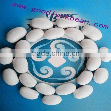 Heilongjiang white kidney beans(2014 crop)