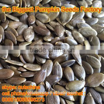 pumpkin seeds grown without shell (GWS) AAA/ AA / A