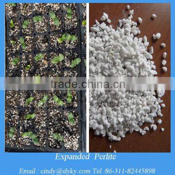 Expanded Perlite for Agricultural Seed Growing