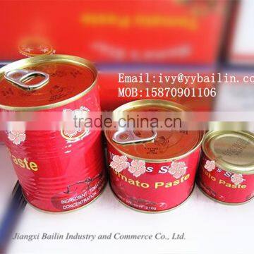 Delicious Seasoning Canned Tomato Paste with premium quality