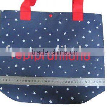 PP Non Woven Shopping Bag