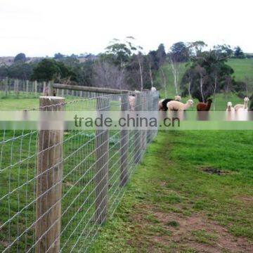 Steel wire farm fence