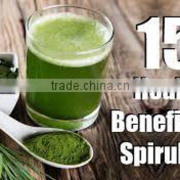 Health Food Spirulina Tablet/ Best Sells Spirulina Powder/ India Supplier Spirulina