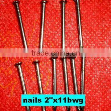 Libya Market Nails photo-6