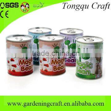 new year gift of magic bean in can with words for promotion