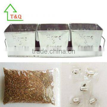 3 Set Tin Pot Tray Garden Porch Windowsill Metal Plant Pot With Seeds