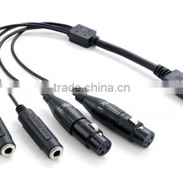 Display port to XLR & 3.5 stereo audio cable