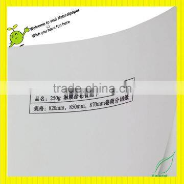 250gsm PE coated ivory board