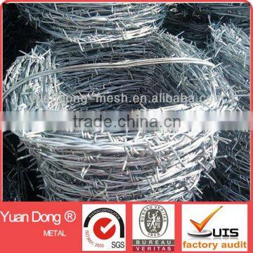 Stainless Steel Barbed Wire (Professional Factory from Anping)