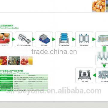 complete pear fruit juice processing line