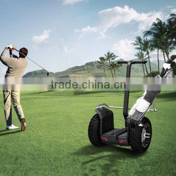 Golf Cart Powerful Chinese Electric Car photo-6