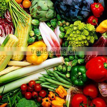 mixed vegetables export to various countries