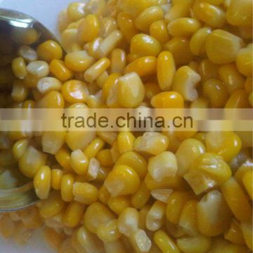 New crop Canned Sweet Corn Kernel