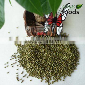 Lowest Price for Green Mung Beans