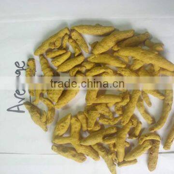 TURMERIC FINGER photo-3