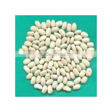 2015 new crop new japanese white kidney beans for sale