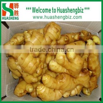 Chinese 2016 Fresh Ginger and Garlic Price